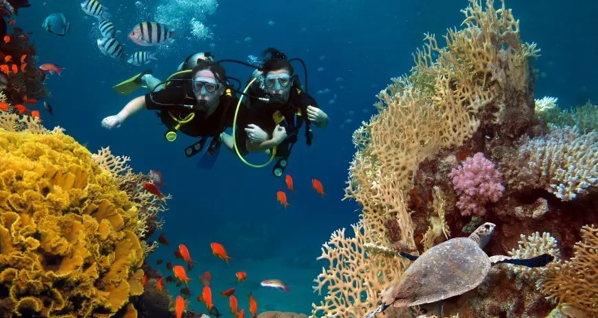 Nha Trang Scuba Diving Tour