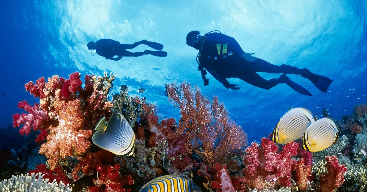 Nha Trang Scuba Diving Tour