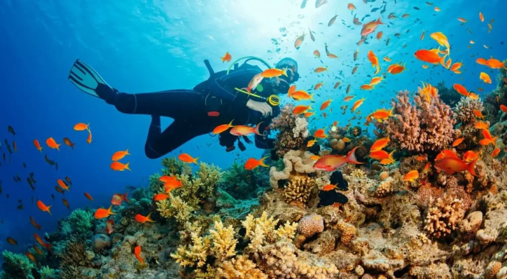 scuba diving tour