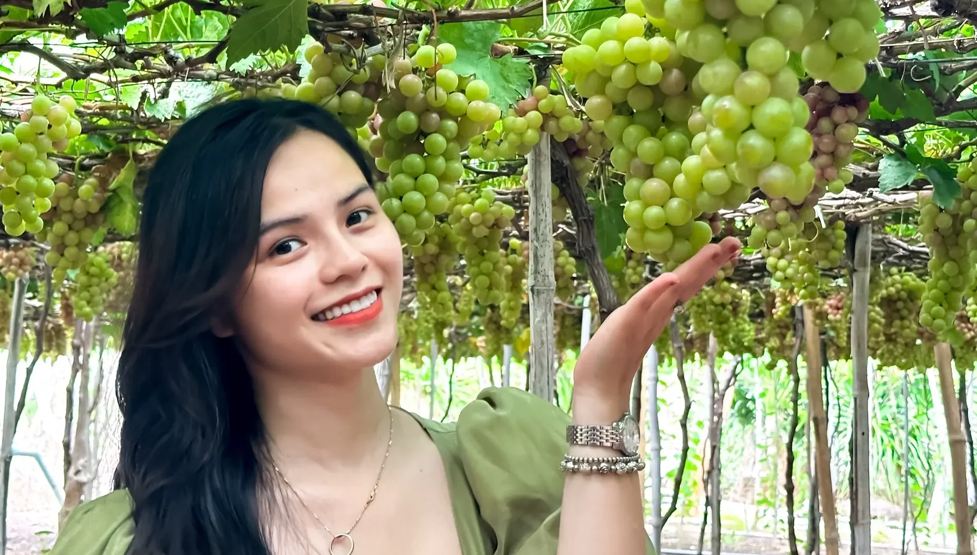 Rai Cave – Vinh Hy bay – Grape Garden – Sheep Field tour