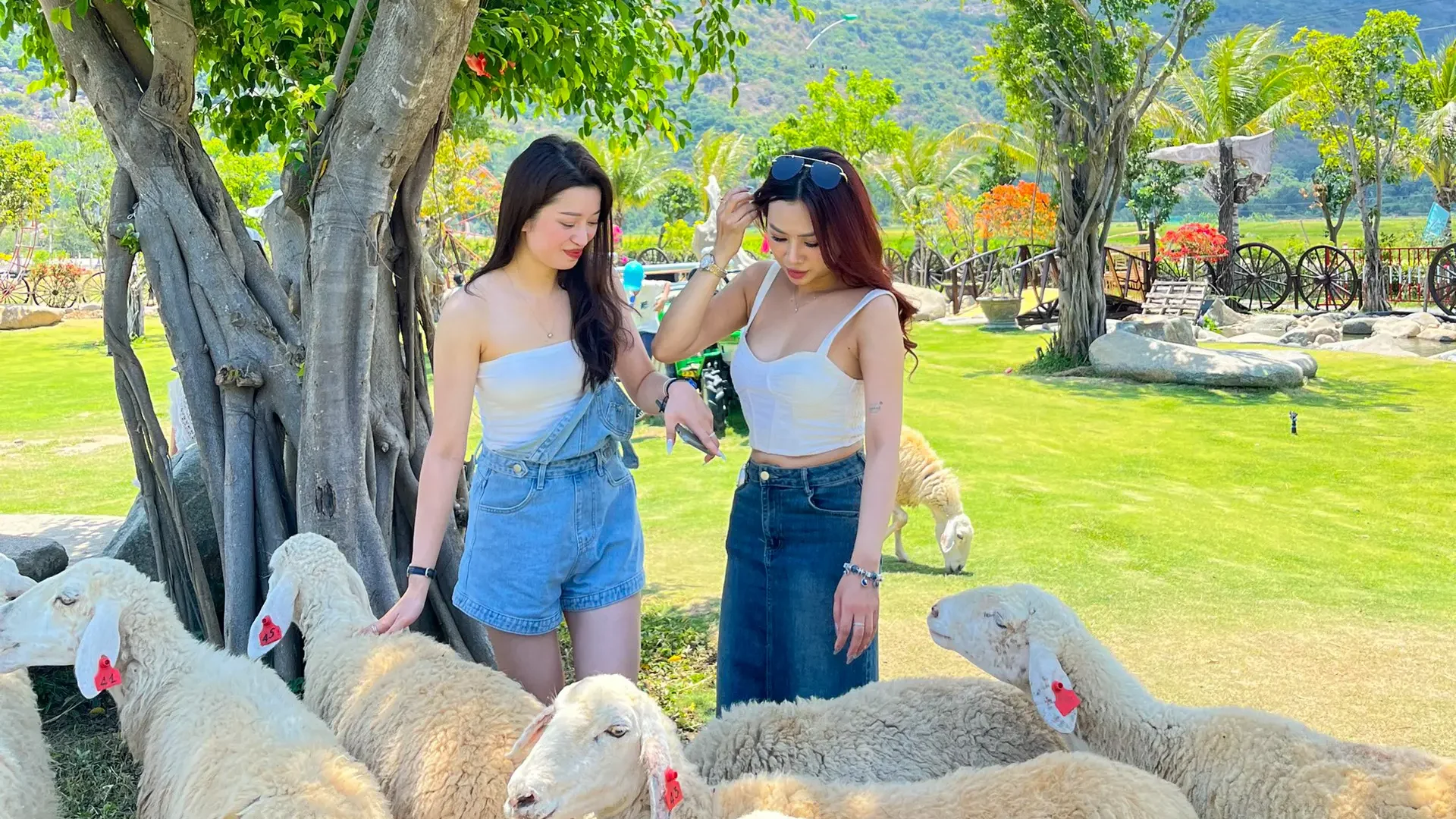 Rai Cave – Vinh Hy bay – Grape Garden – Sheep Field tour