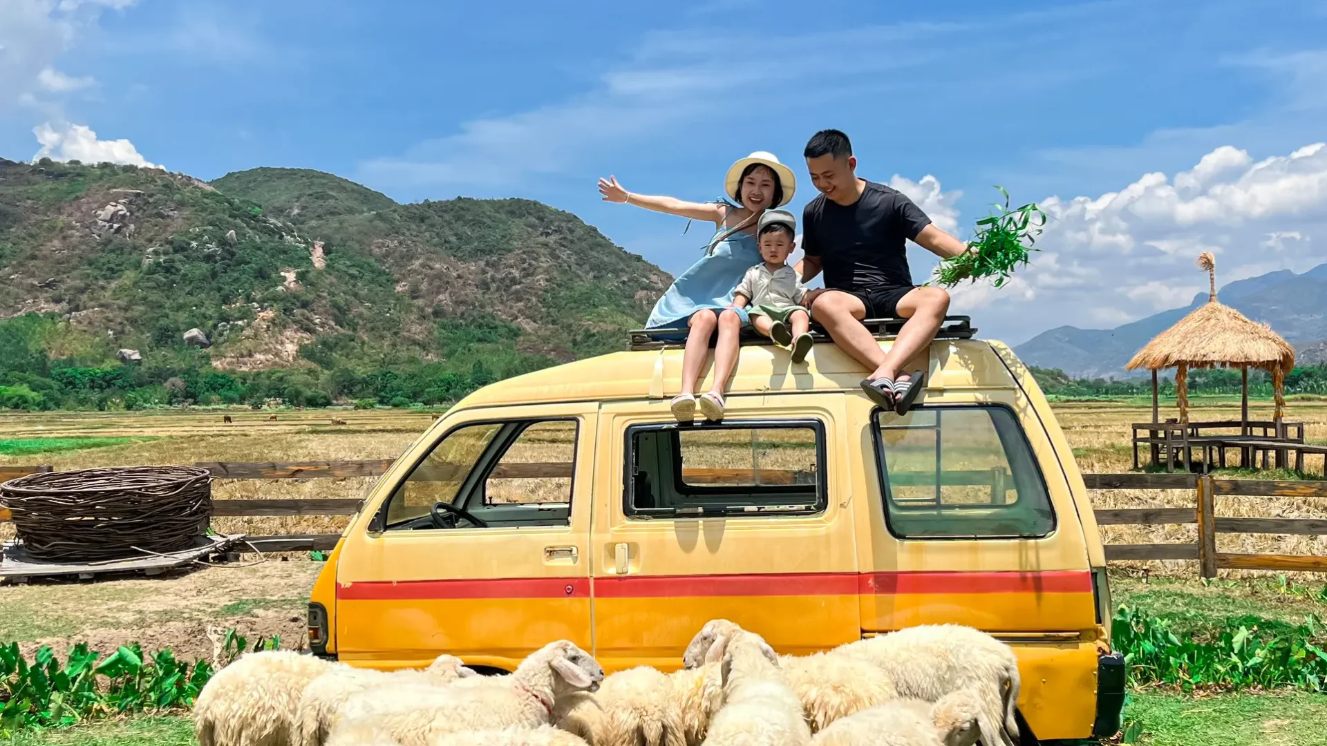 Rai Cave – Vinh Hy bay – Grape Garden – Sheep Field tour