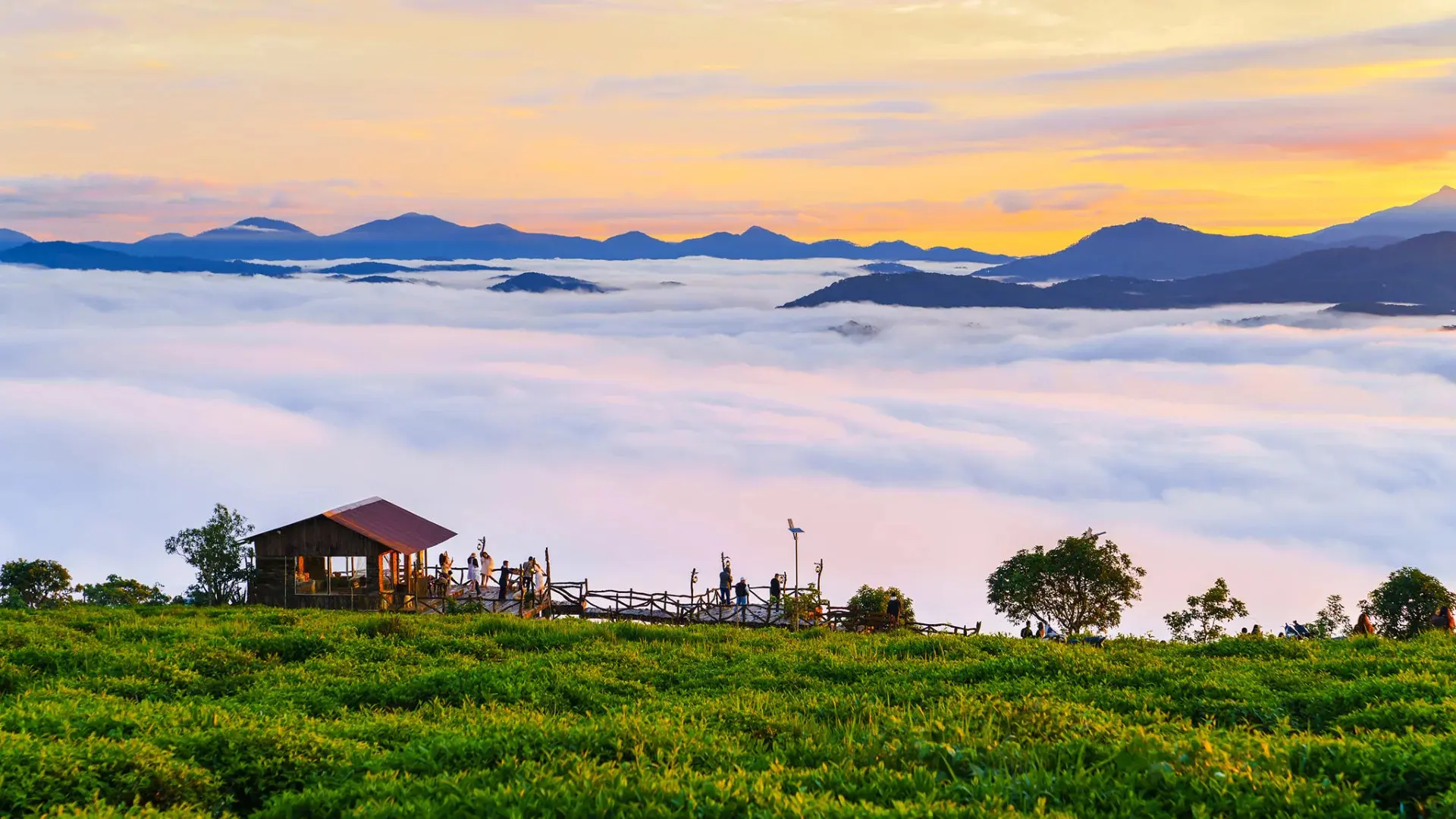 Tour săn mây Đà Lạt đẹp nao lòng bao du khách