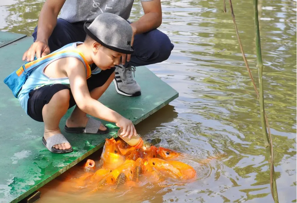 Tour thác Yang Bay 1 ngày