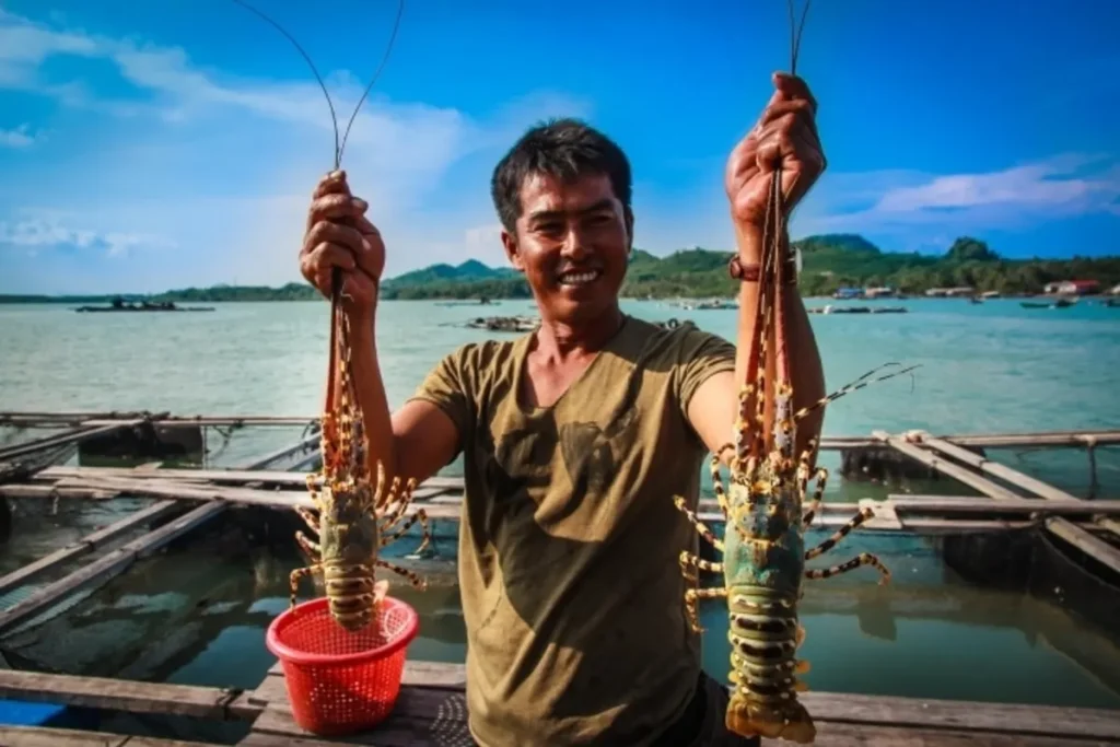 Hải sản tươi sống ngay tại bè.