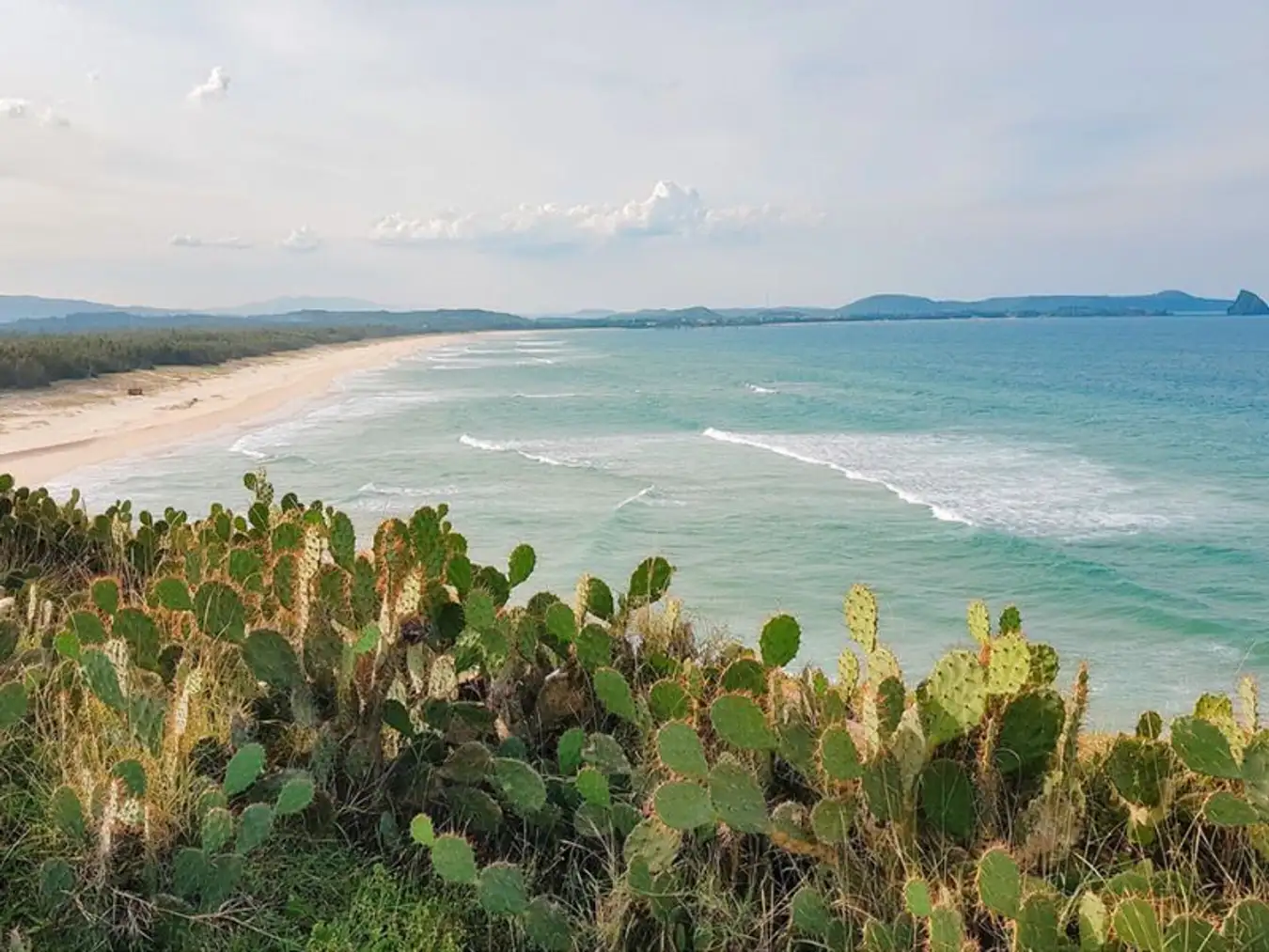 Phu Yen 3 day 2 night tour – The land of yellow flowers and green grass