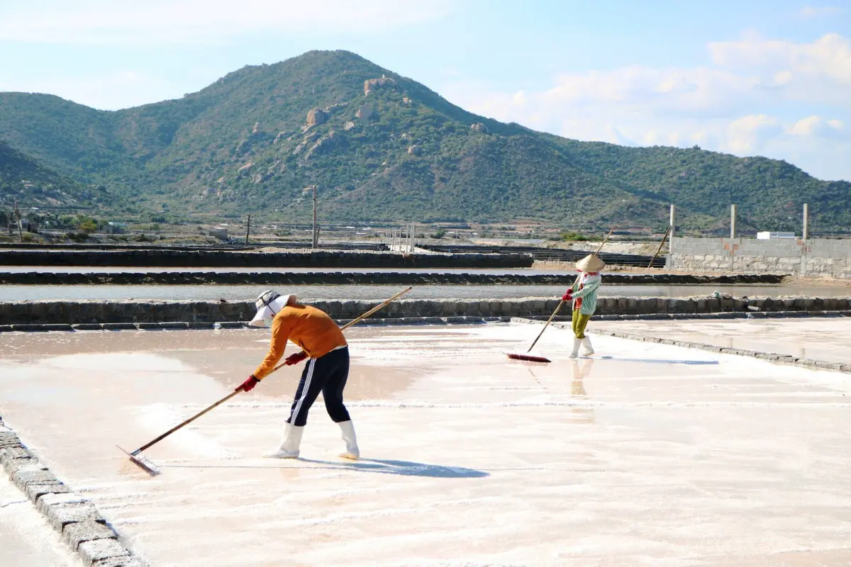 Tour Ninh Thuận 3 ngày 2 đêm – Vẻ đẹp nguyên sơ kì vĩ