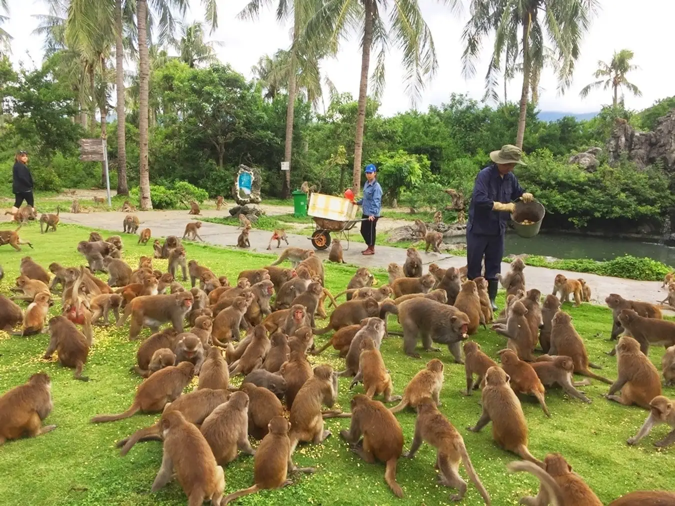 Tour Nha Trang – Vịnh Nha Phu