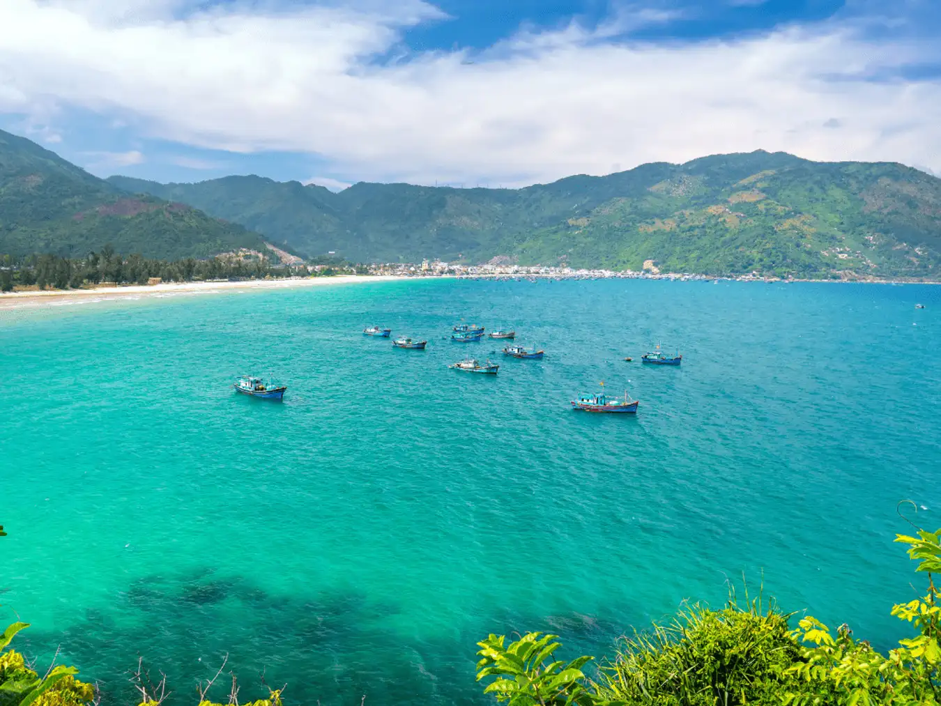 Phu Yen 3 day 2 night tour – The land of yellow flowers and green grass