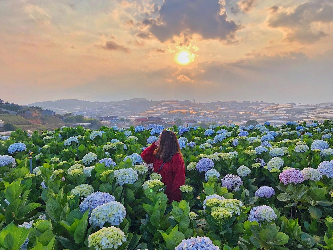 Tour Đà Lạt 3 ngày 2 đêm – đón chiều tiễn chiều