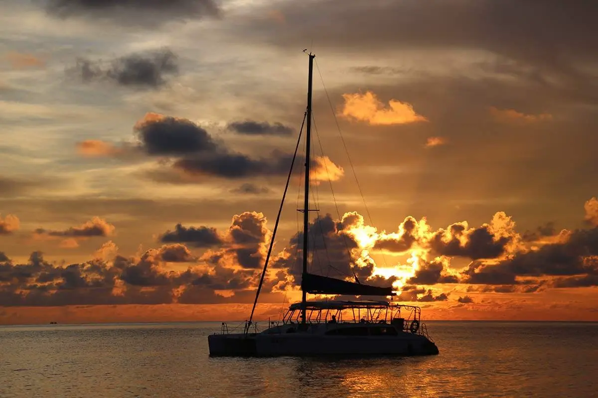 Du Thuyền Catamaran 1360